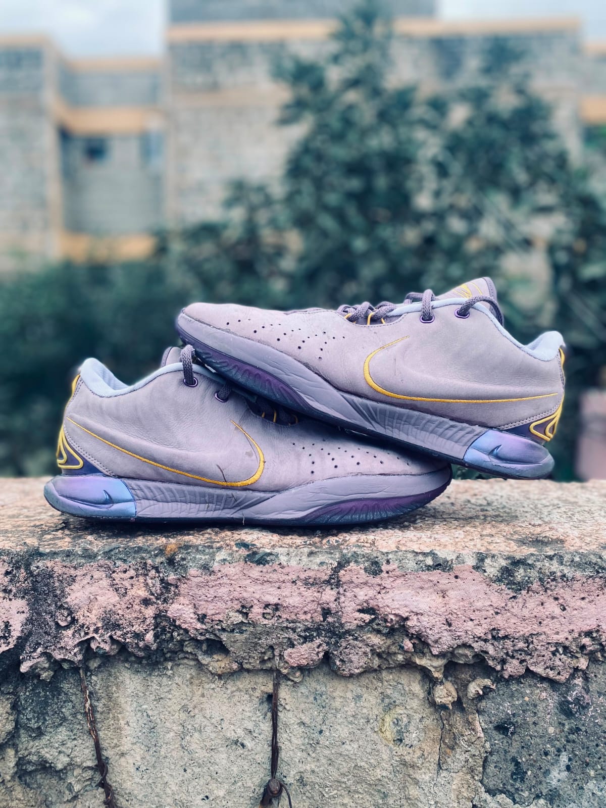 Lebrons XXI Size 48.5 Uk 13 Us 14 - Image 3