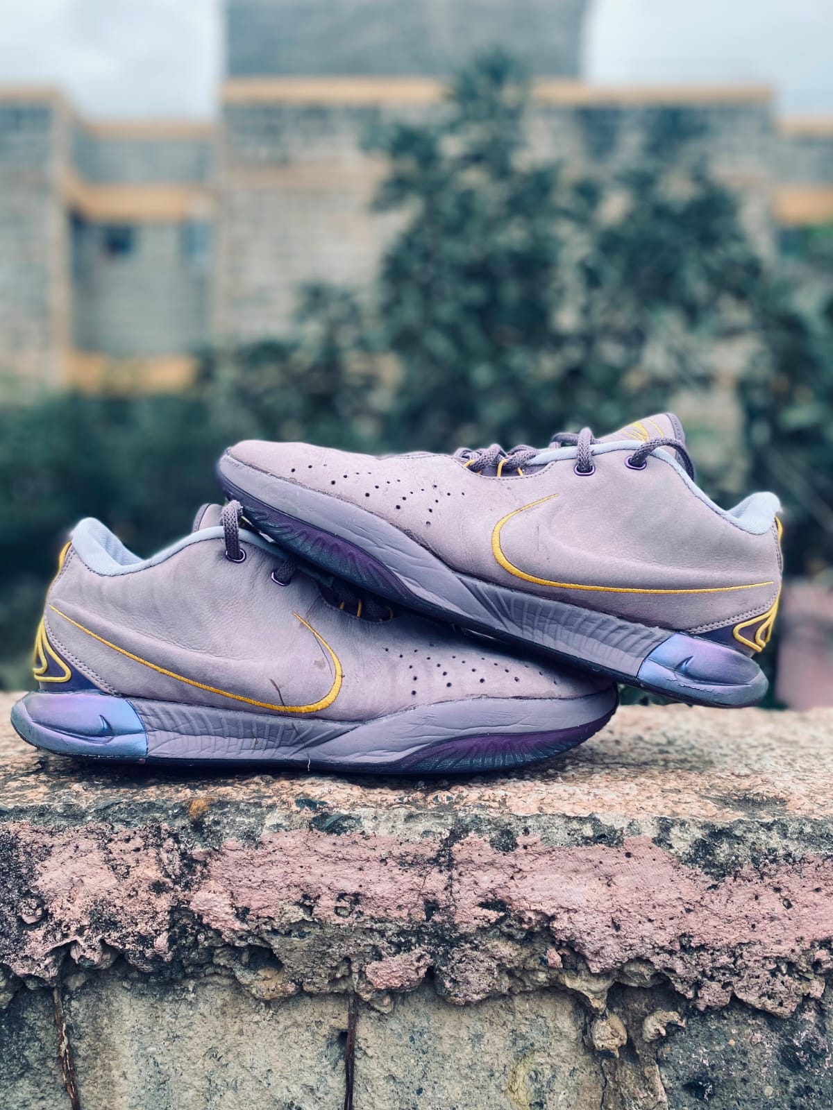 Lebrons XXI Size 48.5 Uk 13 Us 14